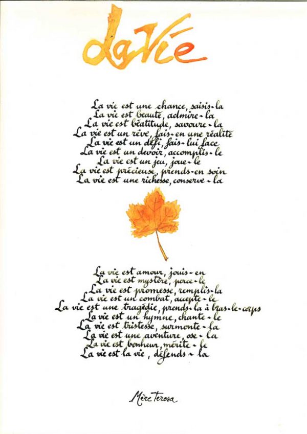 La vie de Mère Teresa